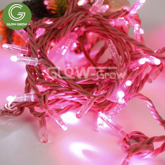 Factory Outdoor Custom Christmas LED Curtain Light for Commercial Wedding Xmas Event Home House Holiday Navidad Ornament Decoration